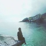 布里苏埃拉维奇
