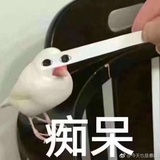 属实离谱