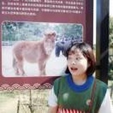 小马儿呀呀