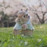 钮钴禄·翠花