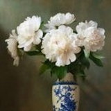 张鸿珠