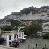 龙行天下