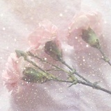 nougat