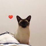 果果