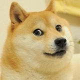 豆