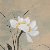 原点