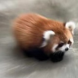 the