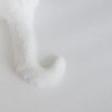 ♥遙"