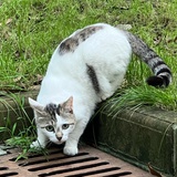 容与