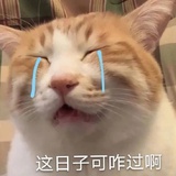 哭哭