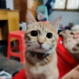 豆友195850719