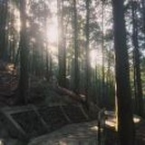 尾生抱柱