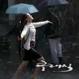 我的爱情