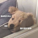 管理￳员