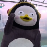 今天不吃饭