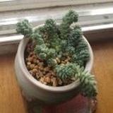 萍水相逢