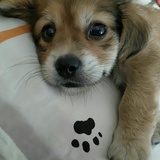 绮思溢想