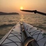 阿枫