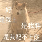 卤煮火烧