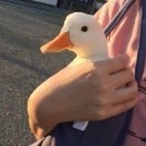 盏灯