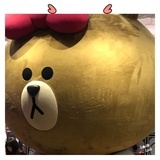 一一鹅