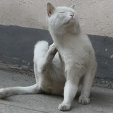 BeatriceinEros