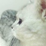 微笑ling