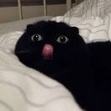 Chubby大宝贝
