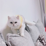 土豆瓣儿