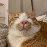 可可宝贝