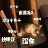 花黎（勿弹语音