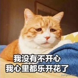 豆友196130184