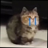 郭京飞
