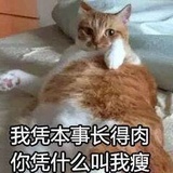 你偷吧我还有蓝