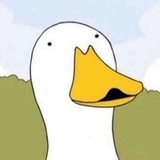 橘淮廿六