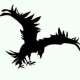 闇鴉