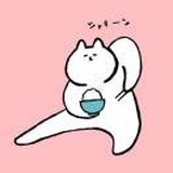 Scott.S