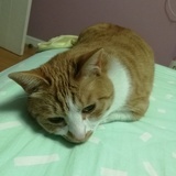 kinki