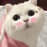 豆知识