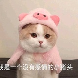 狗橘咕噜噜