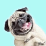 一起税吧