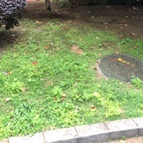 远有止息