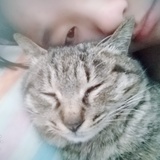 猫咪幼稚园园长