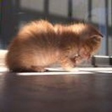 时间里的孩子