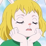 欧拉er