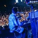 叶叶叶叶