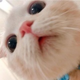 暮秋啦