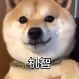 周锐昀（考研版