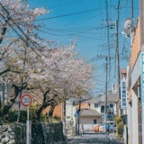 纯躺无甜