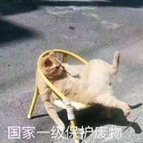 人间青柠🍋